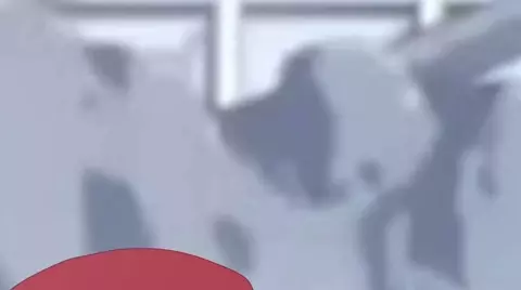 MOVIE Flare double trouble