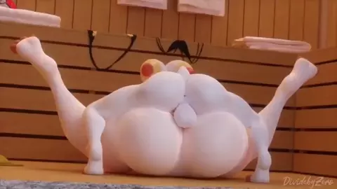 Jet in the rabbit (DivideByZero)