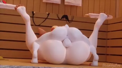 Jet in the rabbit (DivideByZero)