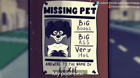 Find a pet - Teaser