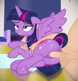 Twilight's New Study