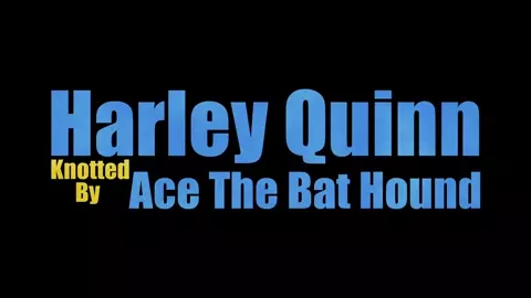 Harley Quinn Knotted by Ace the Bat-Hound (No Music) - SaintBandit69