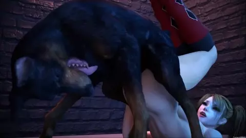 Dog Bitches Compilation