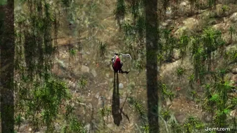 Katarina vs Pantheon