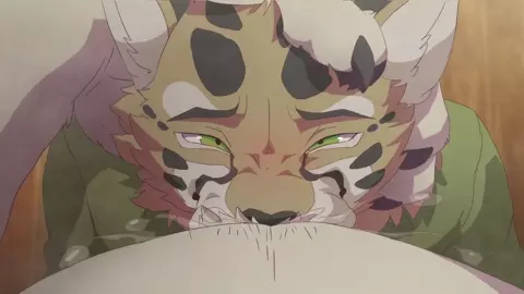 Cat Sitting (Full Video)