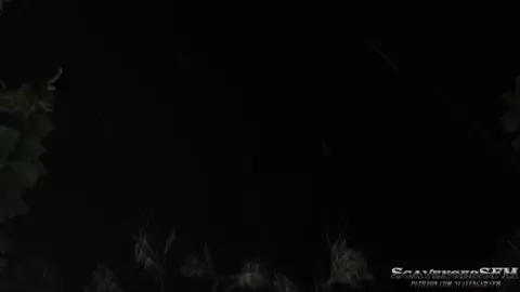 A Frightfully Fun Night