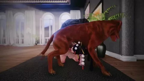 A small collection of animated pictures