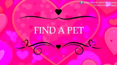 Find a pet - RELEASE