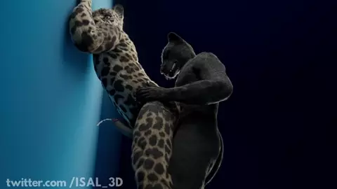 Monthly clip #10 - Gay - Jaguar ♂️♂️