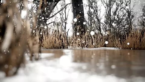 Elsa and Anna Winter Pleasure