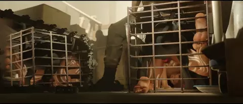 Sheva & Panthers - Pubic Hair Both Angles (zmsfm)