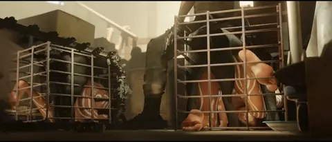 Sheva & Panthers - Pubic Hair Both Angles (zmsfm)