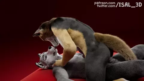 Monthly clip #05 - Gay Wolf