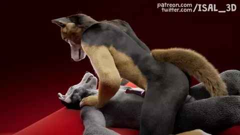 Monthly clip #05 - Gay Wolf