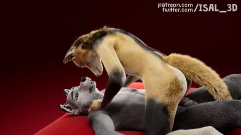 Monthly clip #05 - Straight Wolf