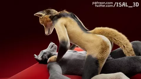 Monthly clip #05 - Straight Wolf