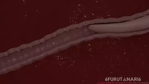 Loona takes Houndoom Up the Butt