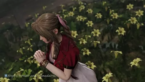 Aerith in private