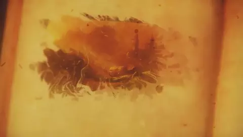 [FOW-010] The Royal Treatment - Sub Español