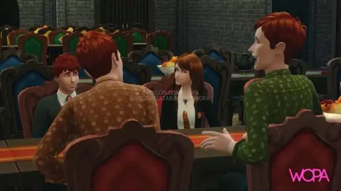 Hermione with Fred and George. Distracted Ron got horned