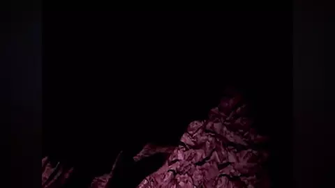 Eliza Sucks (Tekken)