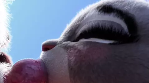 STR8 PMV - Judy Hopps - PUSH IT