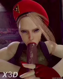 Cammy Blowjob loop (X3d)