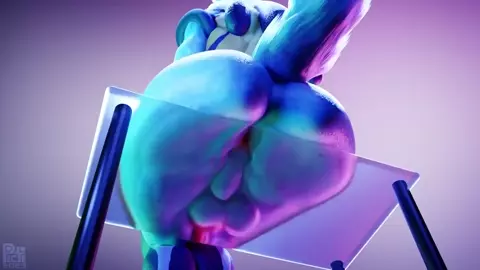 Squeaky clean! [Picti] [Sound]