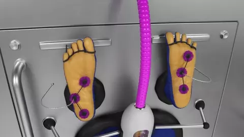 Sonic Captured and Tickled