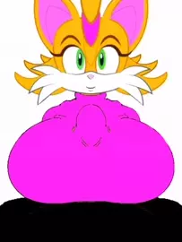 Bunnie Rabbot Played with Marcos The Hedgehog