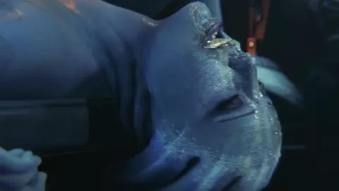 ZMSFM Liara and Collectors