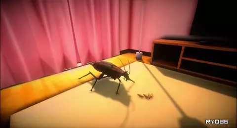 The Classroom of Insects | Kushida Pregnant Status