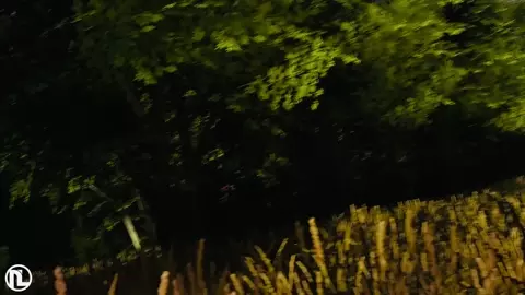 Slave Wars: Episode 1