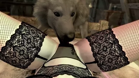 Noise Complaint - Chapter 1