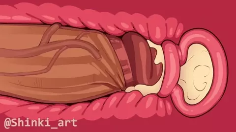 1 Hour Of Futa's Cumming