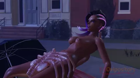 Sombra's Endless Cycle