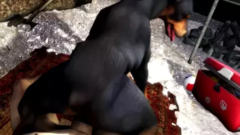 Doberman Riding a Guy (Scrungusbungus)
