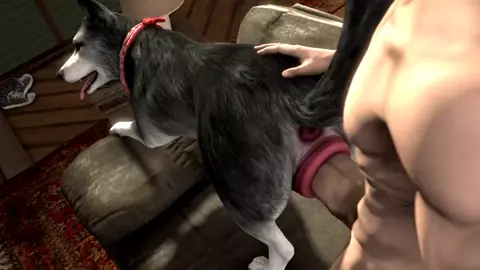 Man Fucking Husky (Scrungusbungus)