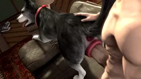 Man Fucking Husky (Scrungusbungus)
