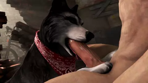 Man gets a Blowjob from a Husky (Scrungusbungus)