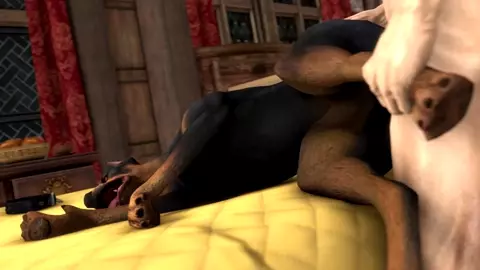 Man Fucking a Doberman (Scrungusbungus)