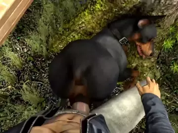 Canine Fuck Completion (Scrungusbungus)