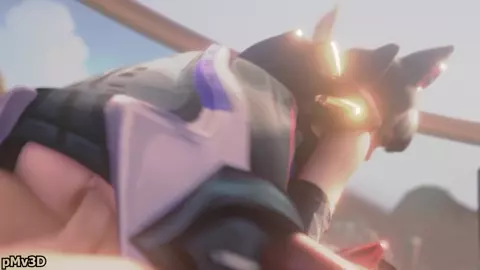 SALSEN3D PMV + BONUS PMV - PMV3D