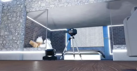 Friends with Benefits