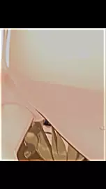 Ei vs Navia Porn Again ????