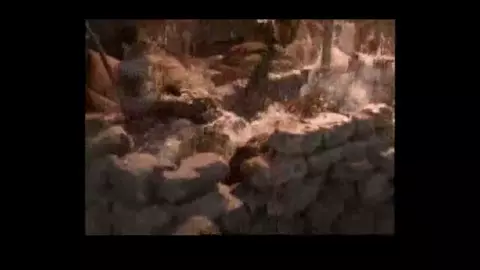 Gabrielle & the Stallion - ToadWTF