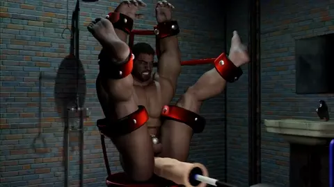 Slave Training (Standard Edition)