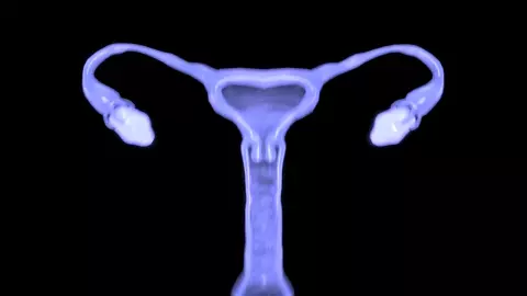 [Fan Edit] Blade x Alilkira 3rd Cp1 | Kx2-SFM