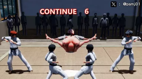 Karate challenge failed, do you want to continue the challenge?