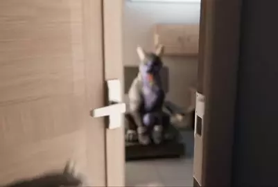 Animation - Nightfall and Yanto